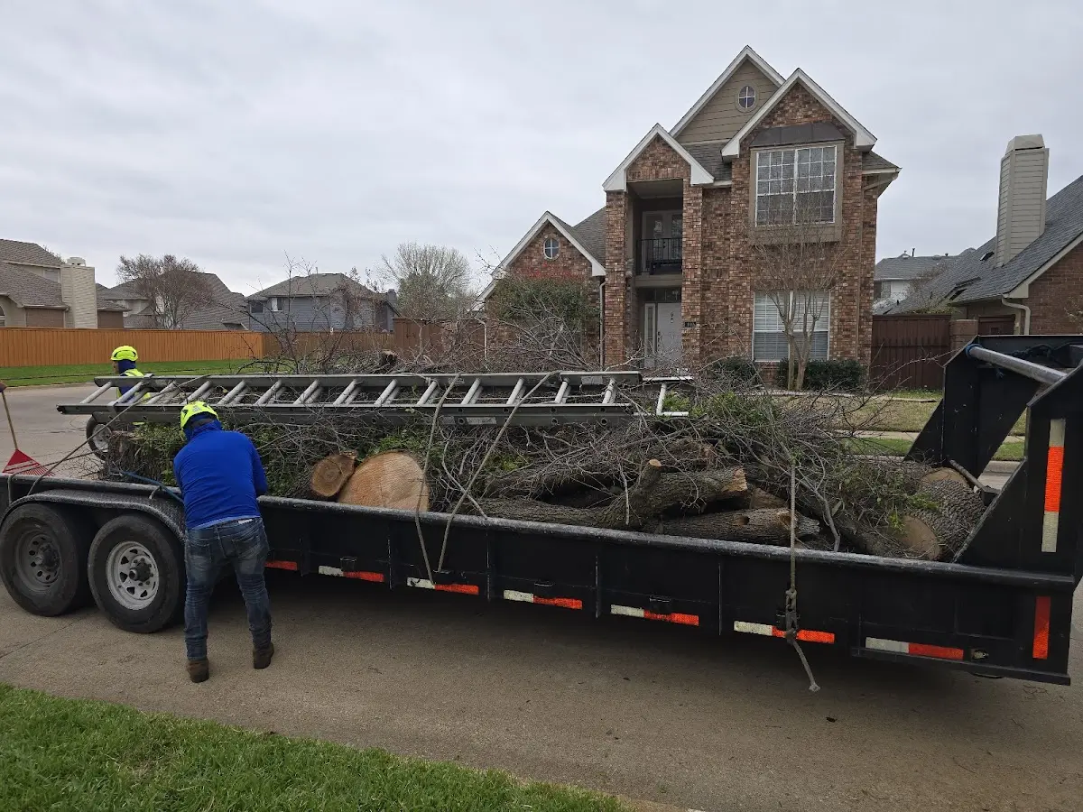 Expert Lot Clearing with proper safety equipment in Queen City